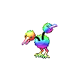 Rainbow Doduo